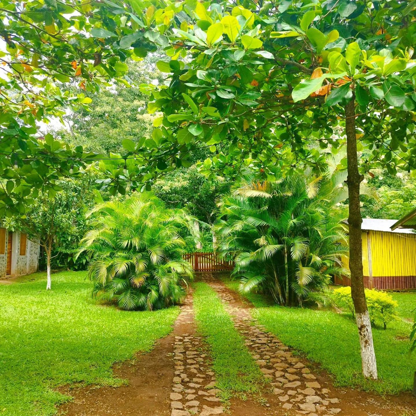 Cabanas Ixaya Catemaco Bagian luar foto