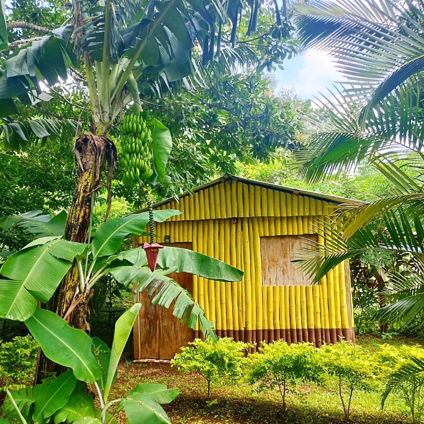 Cabanas Ixaya Catemaco Bagian luar foto